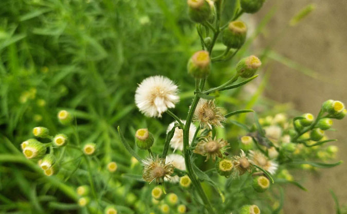 武汉洪山区web前端开发培训机构哪个好_需要多少钱