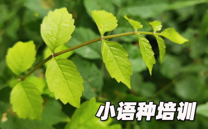 苏州欧风培训中心怎么样