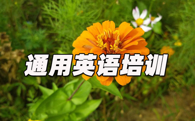 广州白云区通用英语培训哪里好_价格