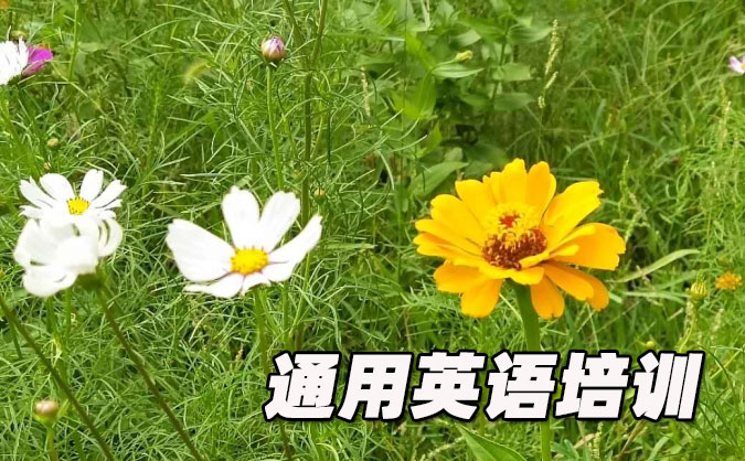深圳福田区通用英语培训哪里好_价格