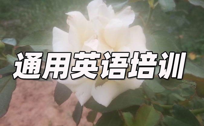 厦门通用英语培训哪里好_价格     