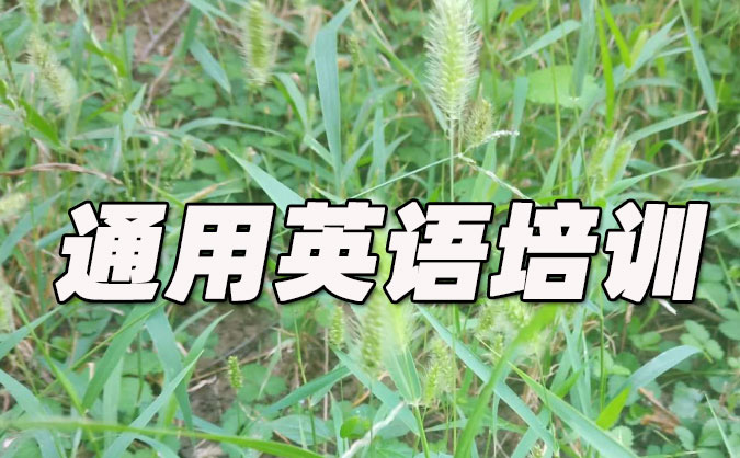 苏州高新区通用英语培训哪里好_价格