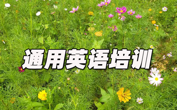 广州番禺区通用英语培训哪里好_价格