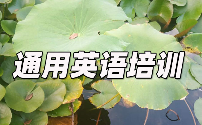 厦门湖里区通用英语培训哪里好_价格
