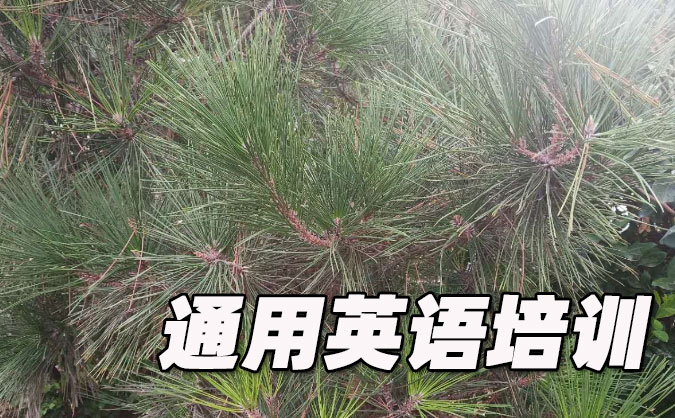 泉州丰泽区通用英语培训哪里好_价格