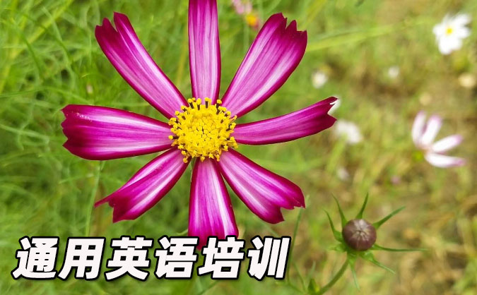 昆山通用英语培训哪里好_价格