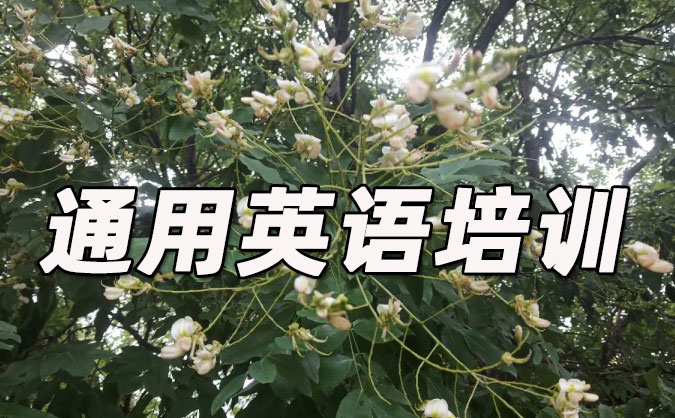 沈阳和平区通用英语培训哪里好_价格