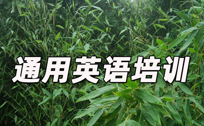 西安雁塔区通用英语培训哪里好_价格