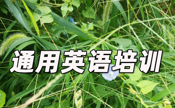 成都通用英语培训哪里好_价格