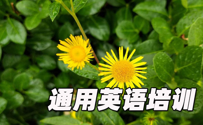 北京通用英语培训哪里好_价格