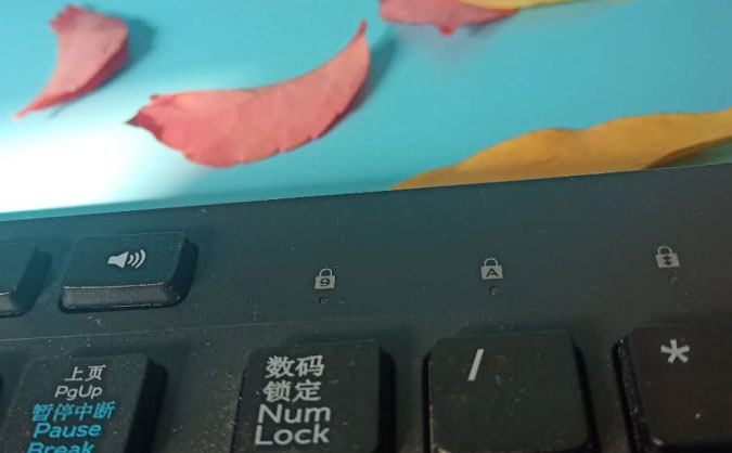 北京海淀区成人编程培训班_课程免费试听,学费优惠-中公IT学校