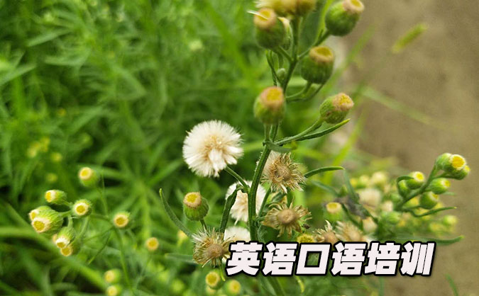 苏州高新区从零开始学英语口语_专业培训机构，免费试听-美联学校