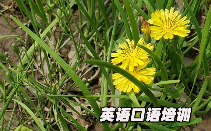 昆山从零开始学英语口语_专业培训机构，免费试听-美联学校