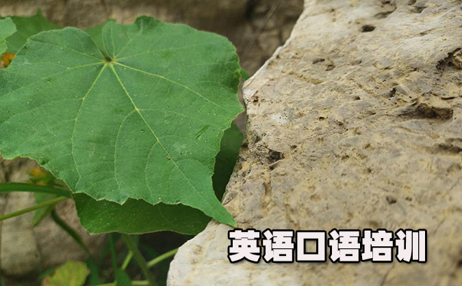 沈阳和平区从零开始学英语口语_专业培训机构，免费试听-美联学校