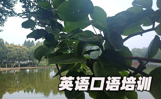 南通从零开始学英语口语_专业培训机构，免费试听-美联学校