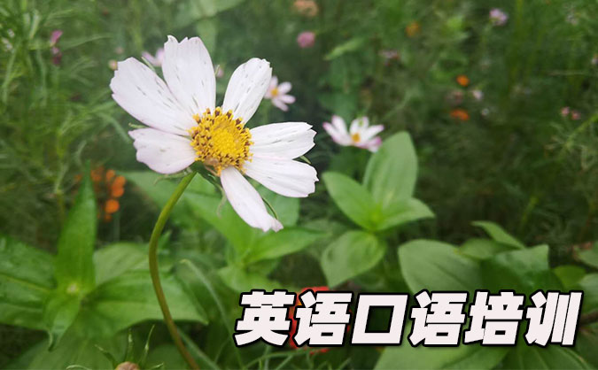 杭州从零开始学英语口语_专业培训机构,免费试听-美联学校