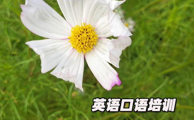 北京海淀区从零开始学英语口语_专业培训机构，免费试听-美联学校