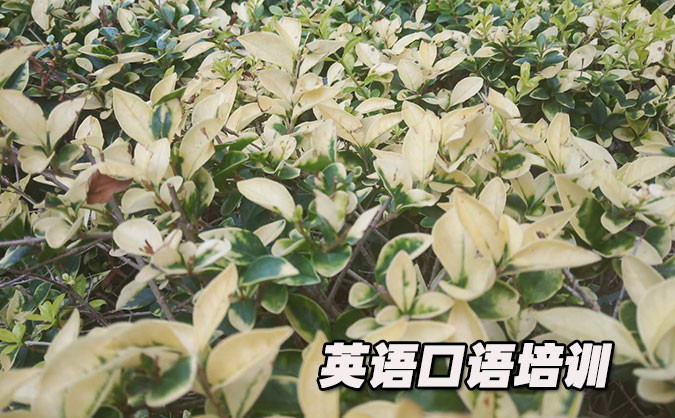 苏州工业园区从零开始学英语口语_专业培训机构，免费试听-美联学校