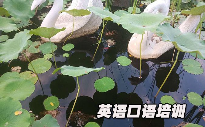 昆山玉山镇从零开始学英语口语_专业培训机构,免费试听-美联学校