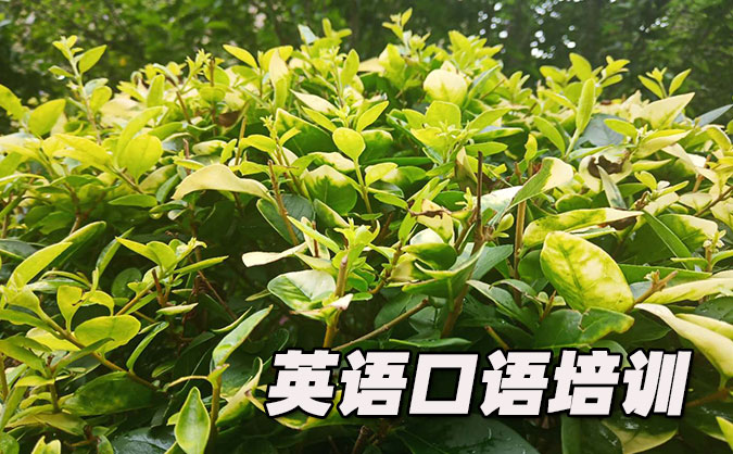 南通崇川区从零开始学英语口语_专业培训机构，免费试听-美联学校     