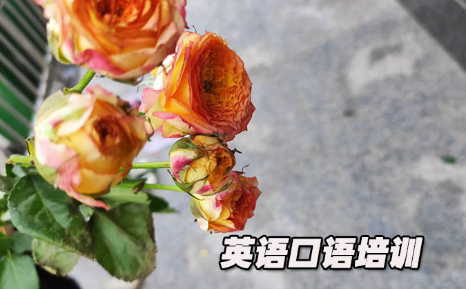 南京从零开始学英语口语_专业培训机构,免费试听-美联学校