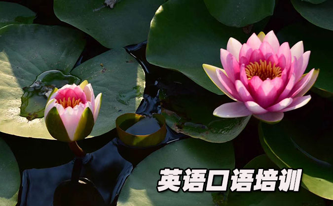 无锡从零开始学英语口语_专业培训机构，免费试听-美联学校