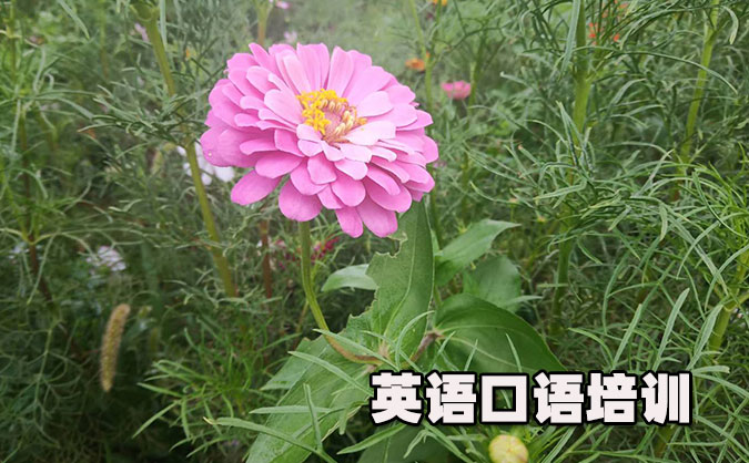 绍兴越城区从零开始学英语口语_专业培训机构，免费试听-美联学校