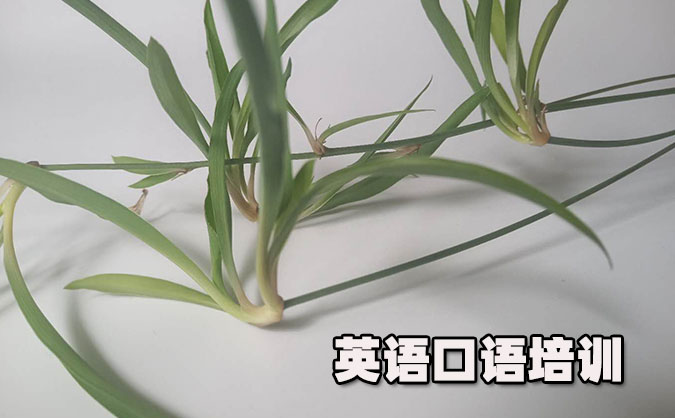 绍兴柯桥区从零开始学英语口语_专业培训机构，免费试听-美联学校