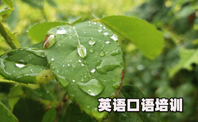 合肥从零开始学英语口语_专业培训机构，免费试听-美联学校