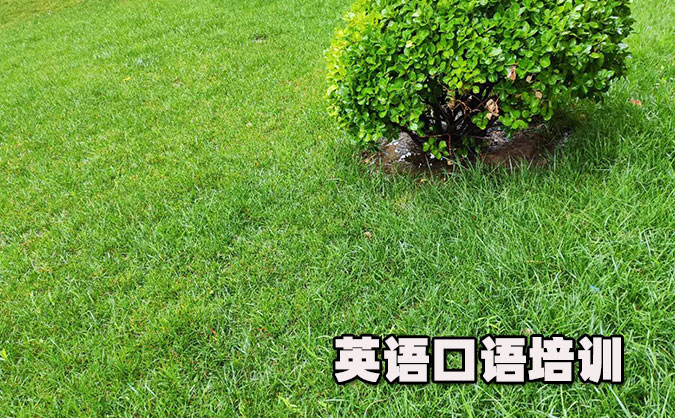 合肥滨湖新区从零开始学英语口语_专业培训机构,免费试听-美联学校