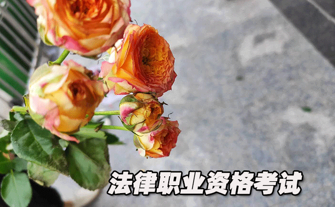 咸宁法律职业资格考试-报名条件-考试时间-考试科目