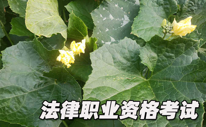 河南法律职业资格考试-报名条件-考试时间-考试科目