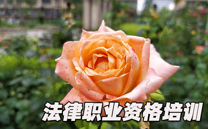 松原法律职业资格考试-报名条件-考试时间-考试科目