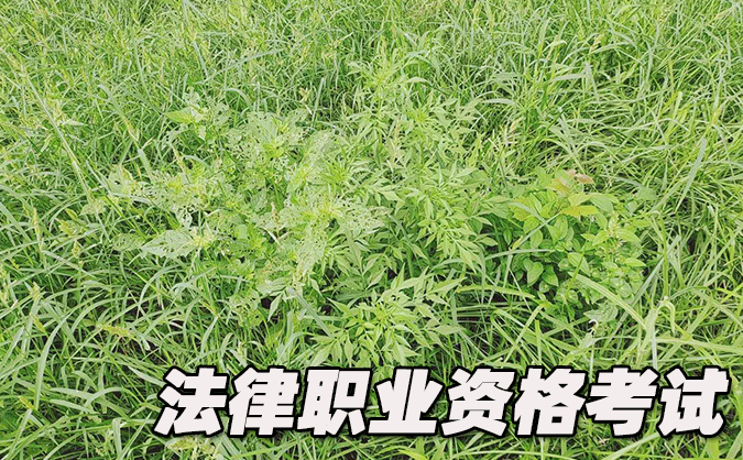 常州法律职业资格考试-报名条件-考试时间-考试科目