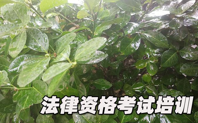 淄博法律职业资格考试-报名条件-考试时间-考试科目