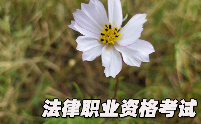 安徽法律职业资格考试-报名条件-考试时间-考试科目
