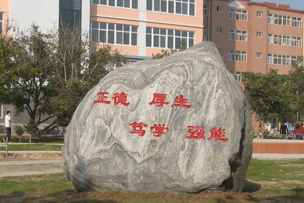 保定虎振技校都有什么专业