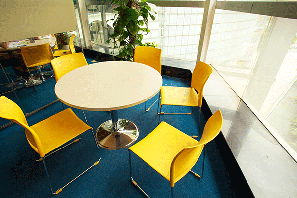 沈阳美联英语价格表     