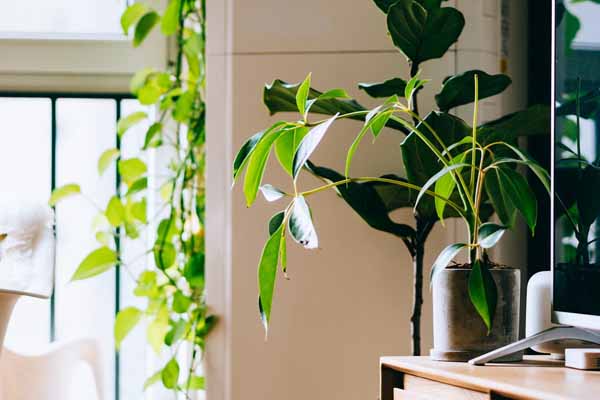 朝阳国企招聘考试培训班报名多少钱？