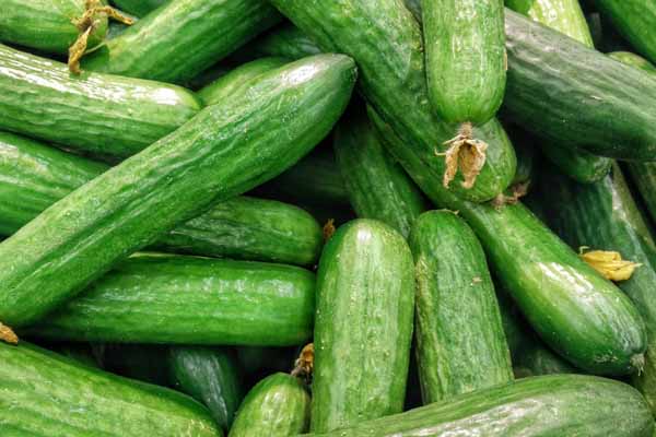 健康管理师查询入口